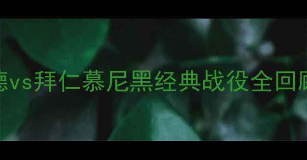 图片 04年德甲巅峰对决：多特蒙德vs拜仁慕尼黑经典战役全回顾+观赛指南（附历史镜头）1