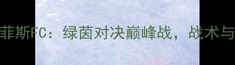 图片 12年洛杉矶FCvs孟菲斯FC：绿茵对决巅峰战，战术与球星谁更胜一筹？