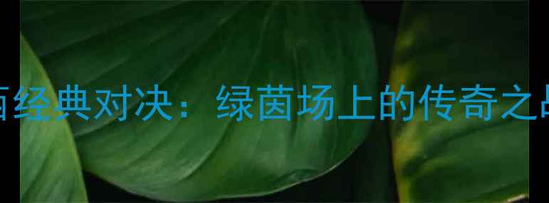 图片 2003年中国VS巴西经典对决：绿茵场上的传奇之战与足球文化碰撞
