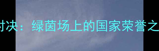 图片 2004中国男足vs新西兰队经典对决：绿茵场上的国家荣誉之战（附比赛回放与数据分析）2