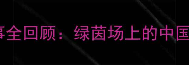 图片 2008北京奥运会足球赛事全回顾：绿茵场上的中国足球记忆与全球影响力1