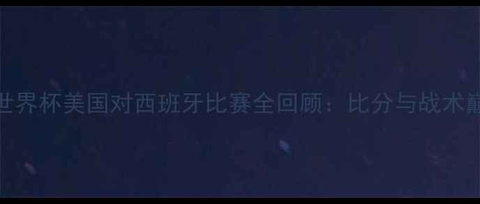 图片 2008年世界杯美国对西班牙比赛全回顾：比分与战术巅峰对决