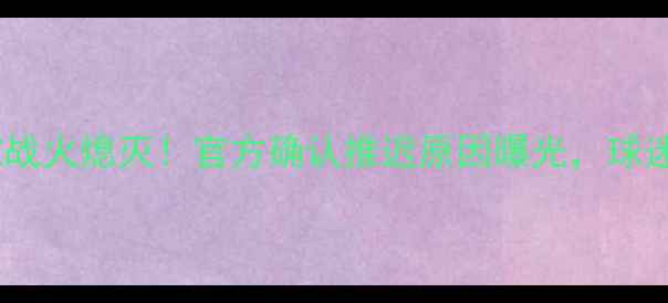 图片 ⚽琼斯杯立陶宛战火熄灭！官方确认推迟原因曝光，球迷必看避坑指南1