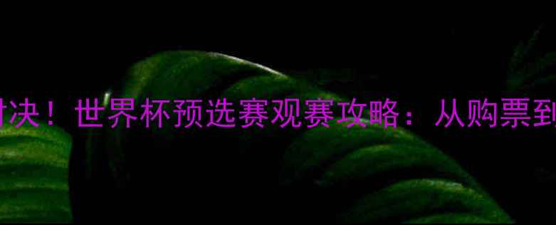 图片 ✨中美足球巅峰对决！世界杯预选赛观赛攻略：从购票到观赛全指南🏟️2