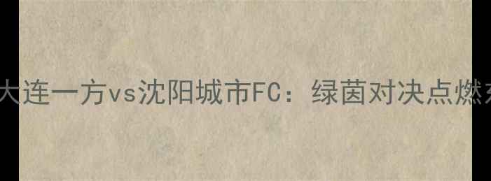 图片 ✨中超焦点战！大连一方vs沈阳城市FC：绿茵对决点燃东北足球热情💥1