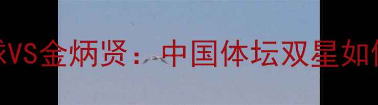 图片 ✨张继科跨界足球VS金炳贤：中国体坛双星如何影响绿茵场？🔥