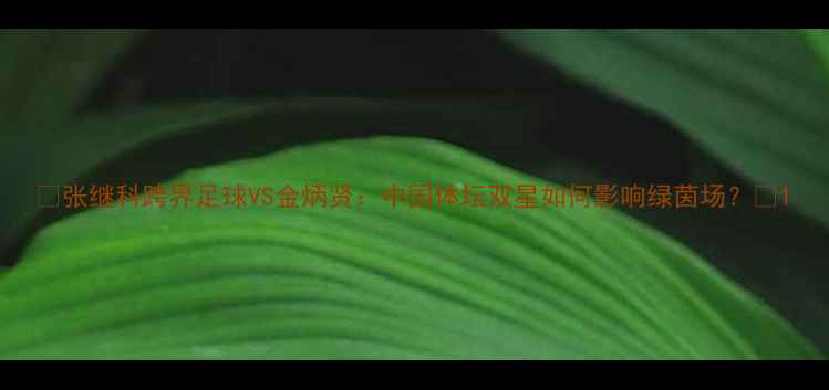 图片 ✨张继科跨界足球VS金炳贤：中国体坛双星如何影响绿茵场？🔥1