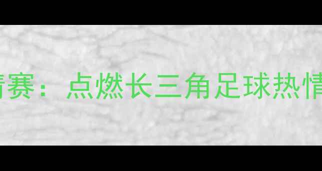 图片 上海国际足球邀请赛：点燃长三角足球热情，见证绿茵传奇2