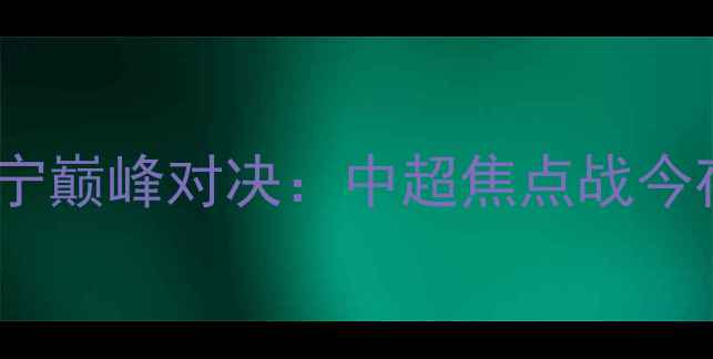 图片 上海申花vs江苏苏宁巅峰对决：中超焦点战今夜燃爆浦东足球场1