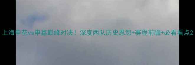 图片 上海申花vs申鑫巅峰对决！深度两队历史恩怨+赛程前瞻+必看看点2