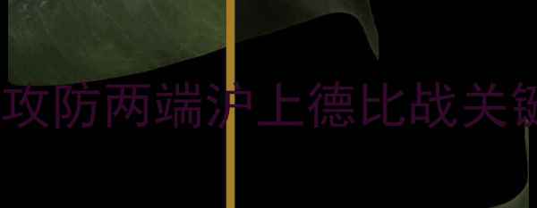 图片 上海申花中超联赛最新战报：攻防两端沪上德比战关键数据（附积分榜实时更新）1