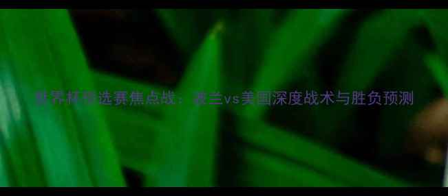图片 世界杯预选赛焦点战：波兰vs美国深度战术与胜负预测