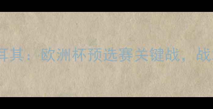 图片 世预男足黑山VS土耳其：欧洲杯预选赛关键战，战术与历史交锋深度2