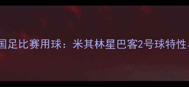 图片 世预赛国足比赛用球：米其林星巴客2号球特性与选材1