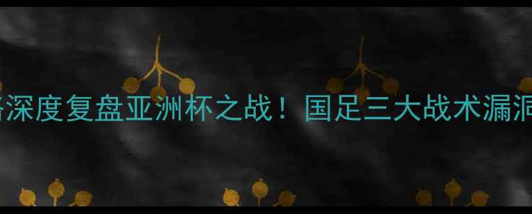 图片 中国VS韩国：董路深度复盘亚洲杯之战！国足三大战术漏洞与未来崛起关键2