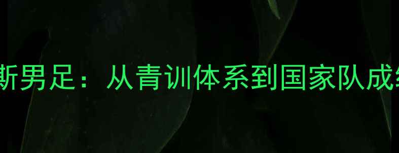 图片 中国男足VS俄罗斯男足：从青训体系到国家队成绩的全方位对比2