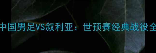 图片 中国男足VS叙利亚：世预赛经典战役全