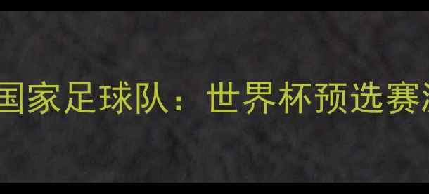 图片 中国男足vs南非国家足球队：世界杯预选赛激烈战况与比分1