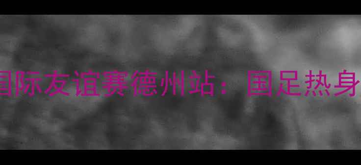 图片 中国足球国际友谊赛德州站：国足热身赛亮点全2