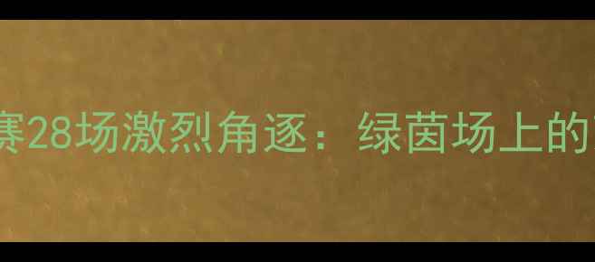图片 中国足球联赛28场激烈角逐：绿茵场上的荣耀与争议2