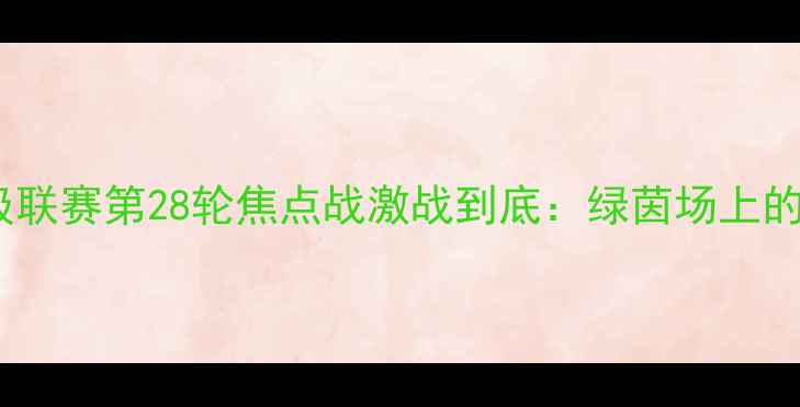图片 中国足球超级联赛第28轮焦点战激战到底：绿茵场上的热血与荣耀1