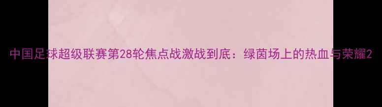 图片 中国足球超级联赛第28轮焦点战激战到底：绿茵场上的热血与荣耀2