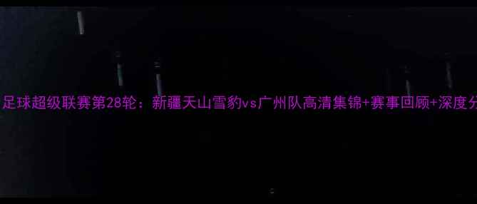 图片 中国足球超级联赛第28轮：新疆天山雪豹vs广州队高清集锦+赛事回顾+深度分析2