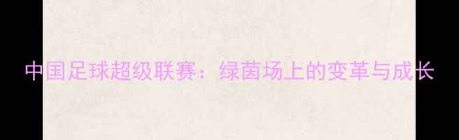 图片 中国足球超级联赛：绿茵场上的变革与成长