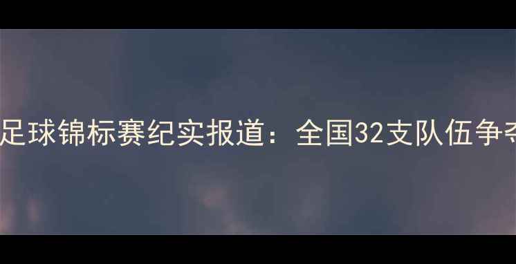 图片 中国青少年足球锦标赛纪实报道：全国32支队伍争夺青训荣誉2