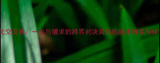 图片 中泰足球文化交流赛：一龙与播求的跨界对决背后的战术博弈与体育精神传承1