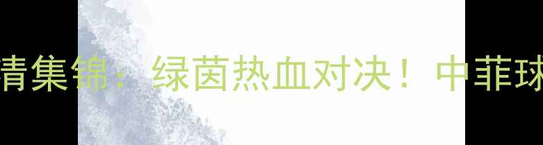 图片 中菲足球友谊赛高清集锦：绿茵热血对决！中菲球员经典瞬间全回顾