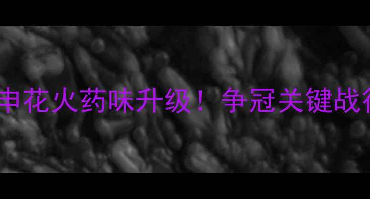 图片 中超焦点战｜国安VS申花火药味升级！争冠关键战役全（附观赛指南）1