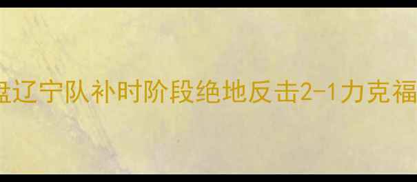 图片 中超第18轮深度复盘辽宁队补时阶段绝地反击2-1力克福建队保住争冠希望2