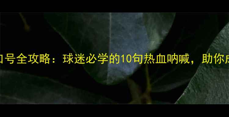 图片 中超联赛助威口号全攻略：球迷必学的10句热血呐喊，助你成为全场焦点！