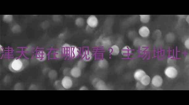 图片 中超联赛辽宁宏运vs天津天海在哪观看？主场地址+交通路线+观赛攻略全1