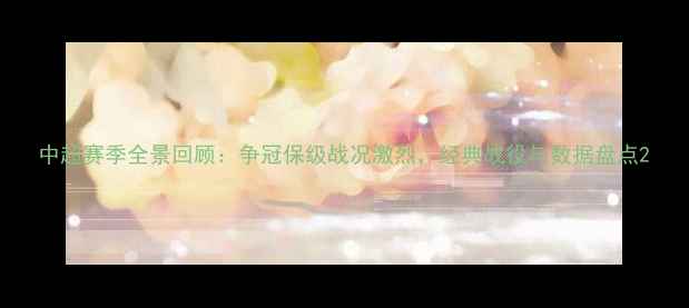 图片 中超赛季全景回顾：争冠保级战况激烈，经典战役与数据盘点2