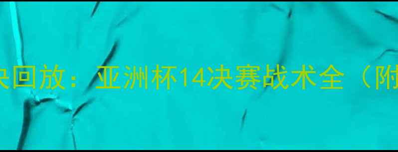 图片 中韩足球巅峰对决回放：亚洲杯14决赛战术全（附完整比赛数据）2