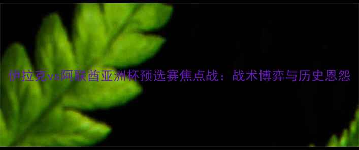 图片 伊拉克vs阿联酋亚洲杯预选赛焦点战：战术博弈与历史恩怨