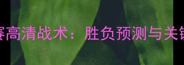 图片 伊朗vs中国足球赛高清战术：胜负预测与关键球员对决全攻略