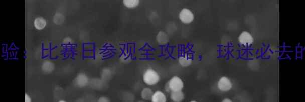 图片 伯纳乌球场深度体验：比赛日参观全攻略，球迷必去的五个隐藏打卡点1