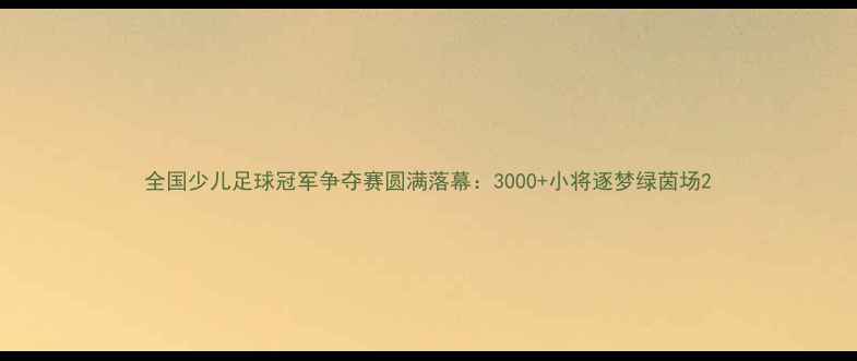 图片 全国少儿足球冠军争夺赛圆满落幕：3000+小将逐梦绿茵场2