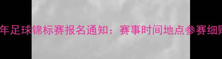 图片 全国青少年足球锦标赛报名通知：赛事时间地点参赛细则全攻略1