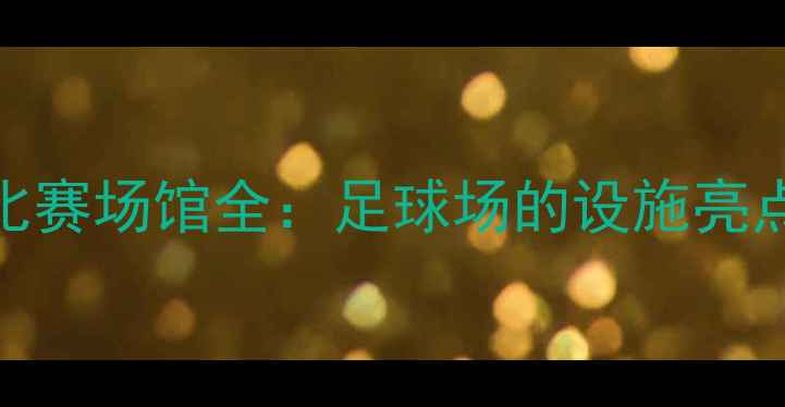 图片 全运会足球比赛场馆全：足球场的设施亮点与观赛攻略