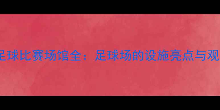 图片 全运会足球比赛场馆全：足球场的设施亮点与观赛攻略1