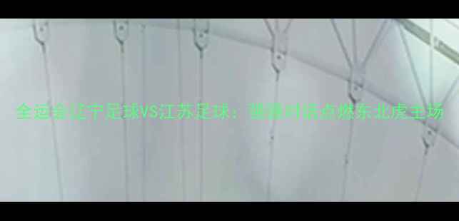 图片 全运会辽宁足球VS江苏足球：强强对话点燃东北虎主场