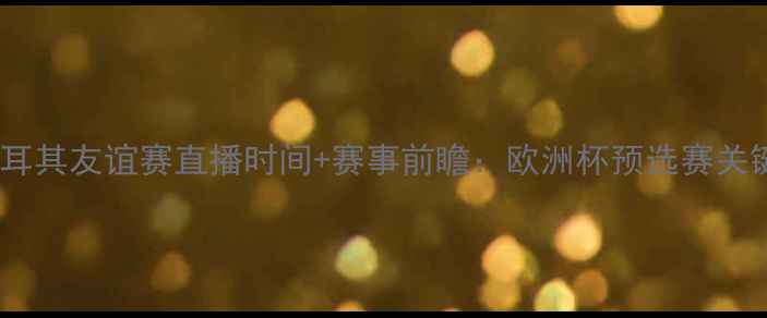 图片 冰岛VS土耳其友谊赛直播时间+赛事前瞻：欧洲杯预选赛关键战看点1
