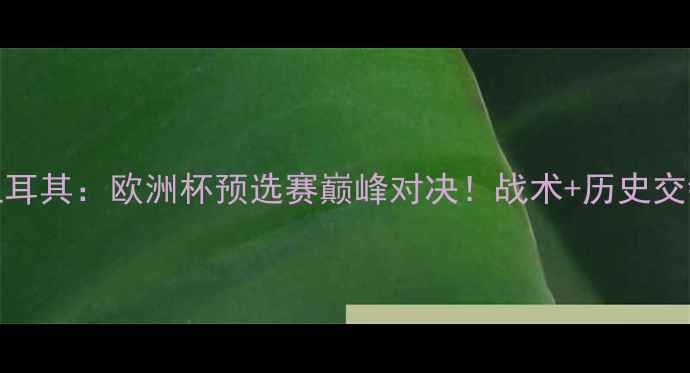 图片 冰岛vs土耳其：欧洲杯预选赛巅峰对决！战术+历史交锋大数据