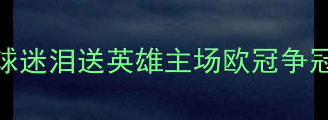 图片 勇士队赛季收官战：球迷泪送英雄主场欧冠争冠历程回顾与未来展望