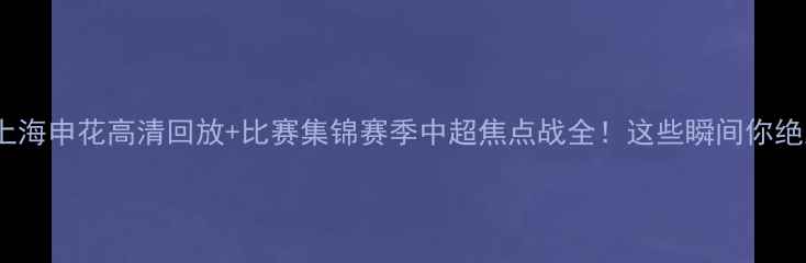 图片 北京国安vs上海申花高清回放+比赛集锦赛季中超焦点战全！这些瞬间你绝对不能错过2