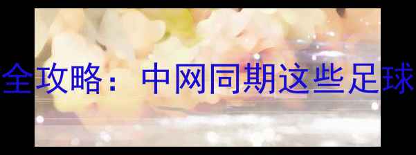 图片 北京足球赛事全攻略：中网同期这些足球活动不容错过